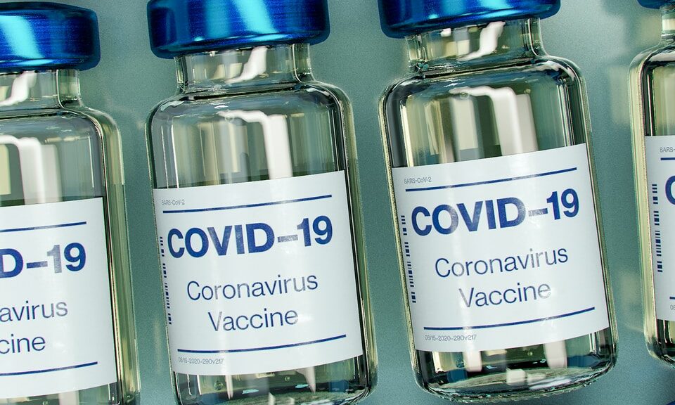 Digital Documentation of COVID-19 Certificates: Vaccination Status