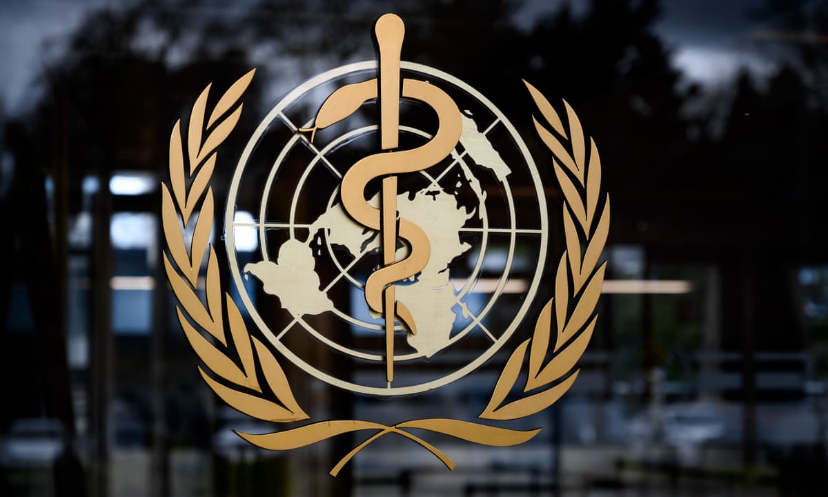 O papel das Organizações Internacionais de Saúde na Saúde Global e em Crises Sanitárias